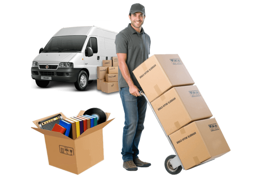 auckland movers, Top Movers