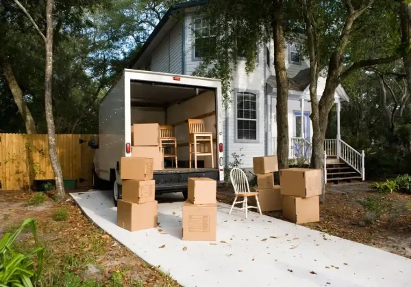 Business movers auckland