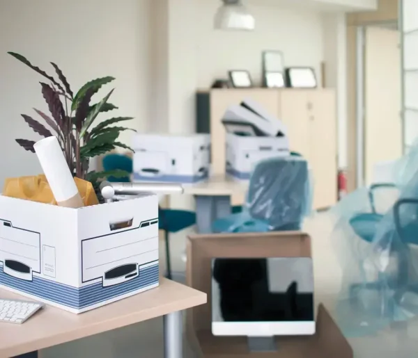 furniture moving companies auckland
