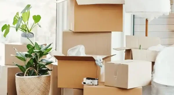 small apartment movers auckland
