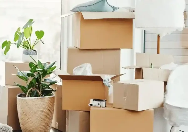 packing and unpacking services