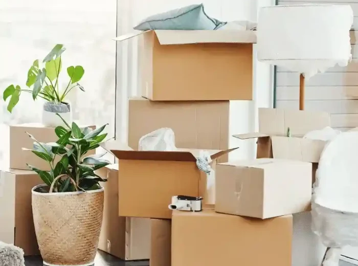 moving house company auckland