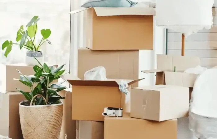 removals auckland